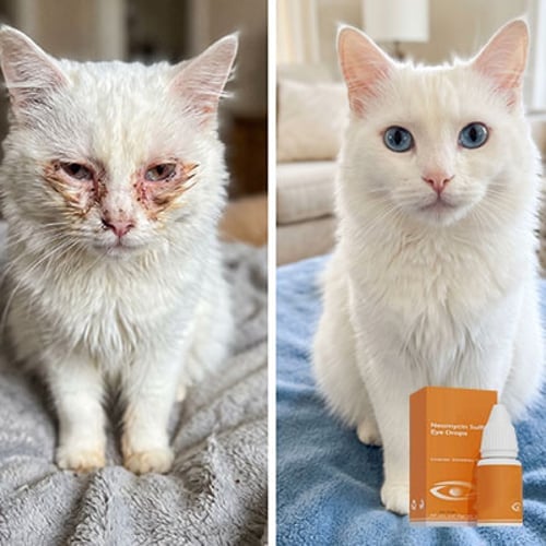 Gentle whitening