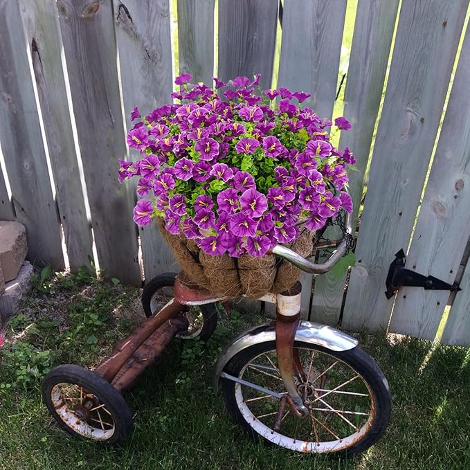 BloomHaven – Vibrant Morning Glory Garden Décor