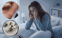CleanNest – Smart Dust Sensor Mattress Vacuum