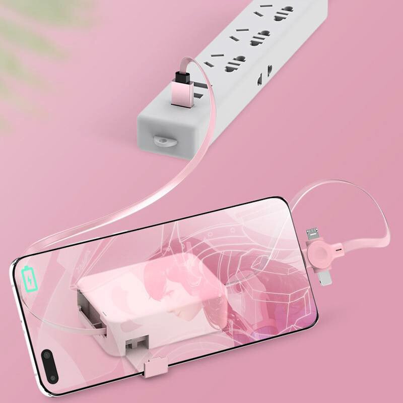 🔥3 in 1 Datenleitung Schnellladeleitung Speicherbox⚡⚡
