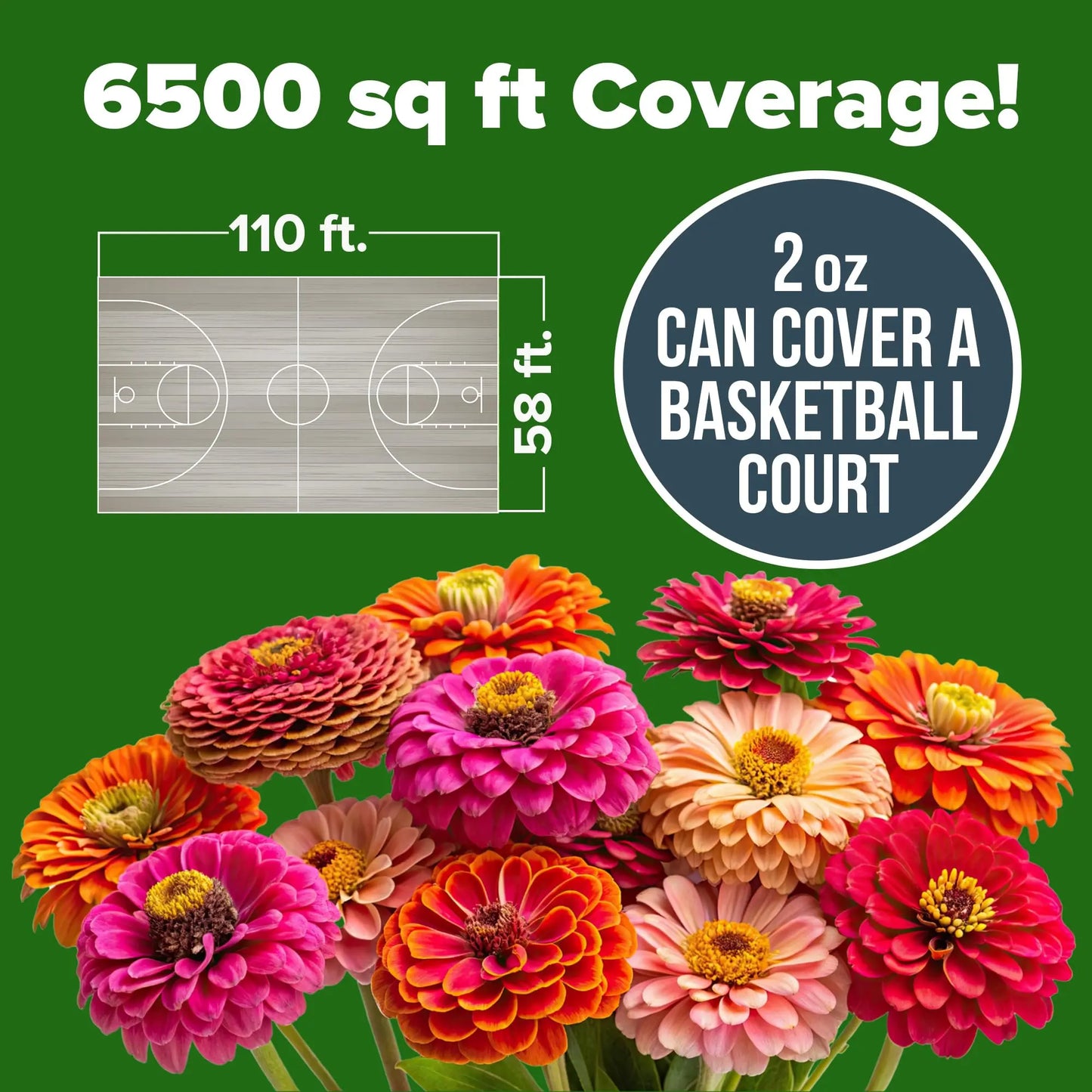 FloraBloom – Long Blooming Garden Flower Seeds