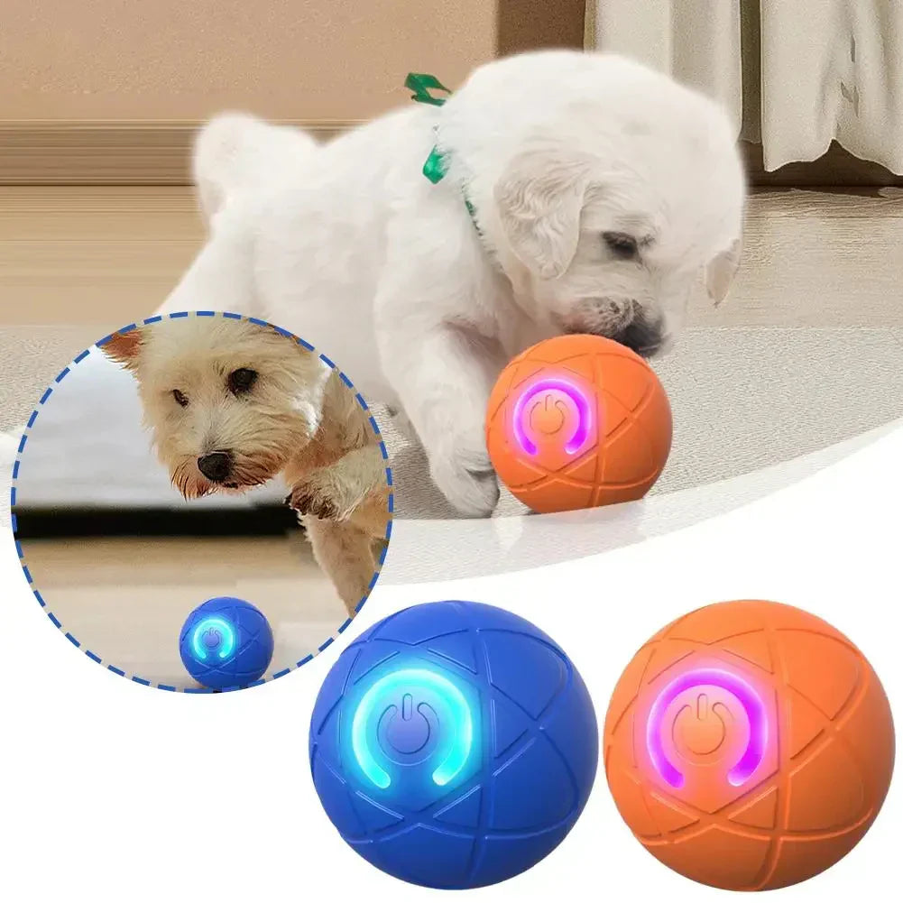 PlayPulse – Auto-Bouncing Smart Pet Ball