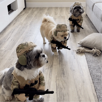 ValorPaws – Tactical Soldier Pet Costume