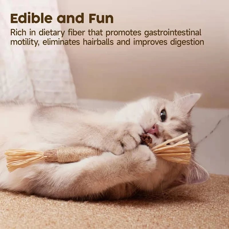 DJIWJDCDA Natural Silvervine Stick Cat Chew Toy