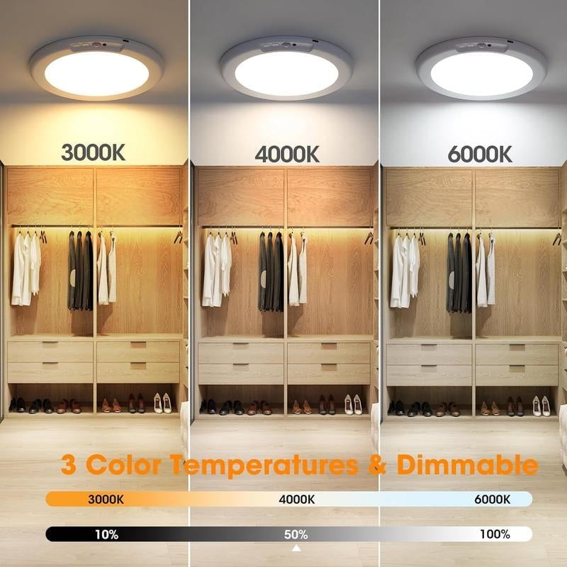 Motion Sensor Ceiling Light