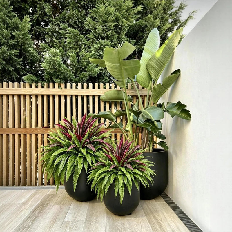 EverGreen – UV-Resistant Artificial Fern & Red Dracaena Plant