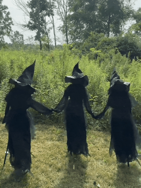 WitchGlow – Lighted Halloween Witch Garden Stakes