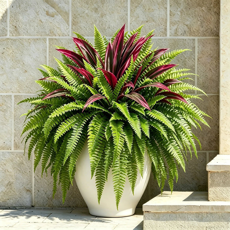 EverGreen – UV-Resistant Artificial Fern & Red Dracaena Plant