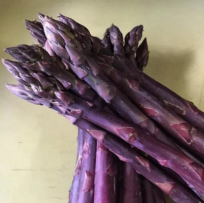 GardenBounty – Fresh Asparagus Vegetable Seeds