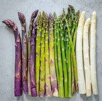 GardenBounty – Fresh Asparagus Vegetable Seeds