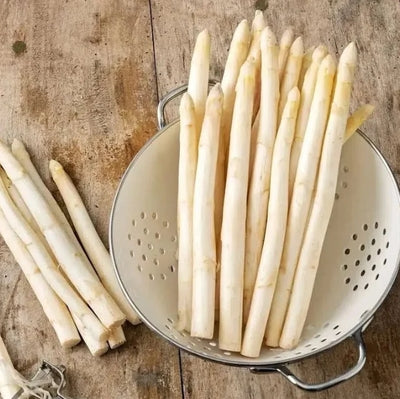 GardenBounty – Fresh Asparagus Vegetable Seeds
