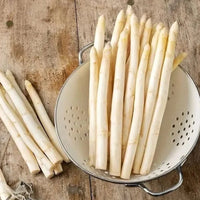 GardenBounty – Fresh Asparagus Vegetable Seeds