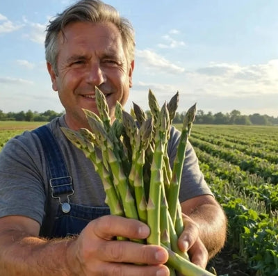 GardenBounty – Fresh Asparagus Vegetable Seeds