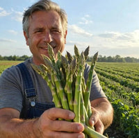 GardenBounty – Fresh Asparagus Vegetable Seeds