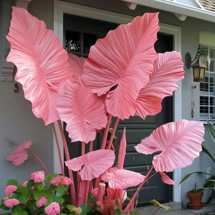 ScentedBliss - Long-Blooming Lily Bulbs
