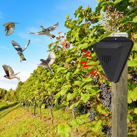 BirdBarrier – Waterproof Solar Sound Deterrent