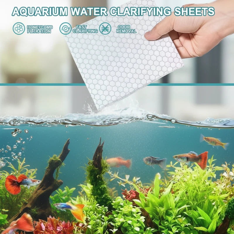 AquaClear – Crystal Clear Aquarium Sheets