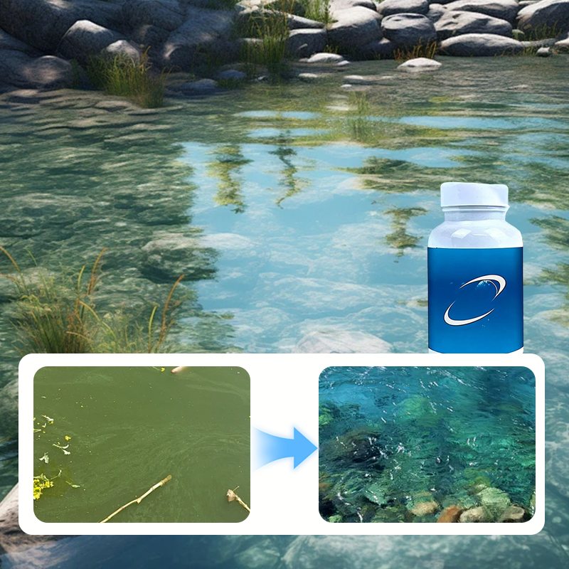 ClearBloom – Aquarium Water Clarifying Tablets