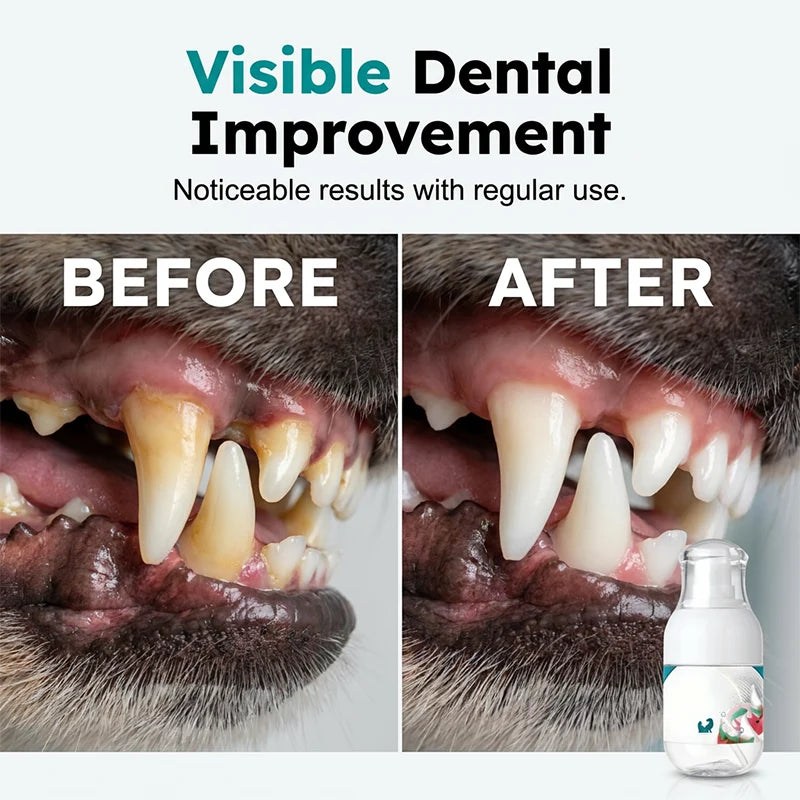 PawPure – No-Brush Pet Dental Care Liquid