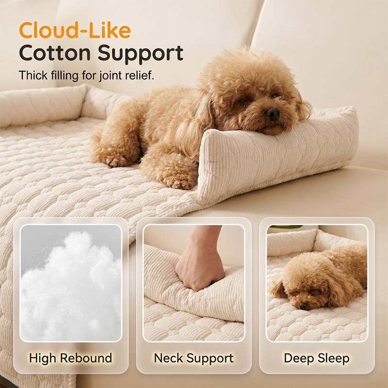 PetLounge – Premium Bolstered Pet Couch Cushion