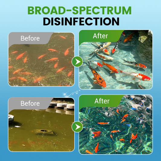 CrystalAqua – Premium Fish Tank Purification Tablets