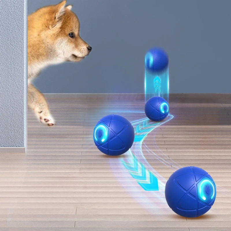 PlayPulse – Auto-Bouncing Smart Pet Ball