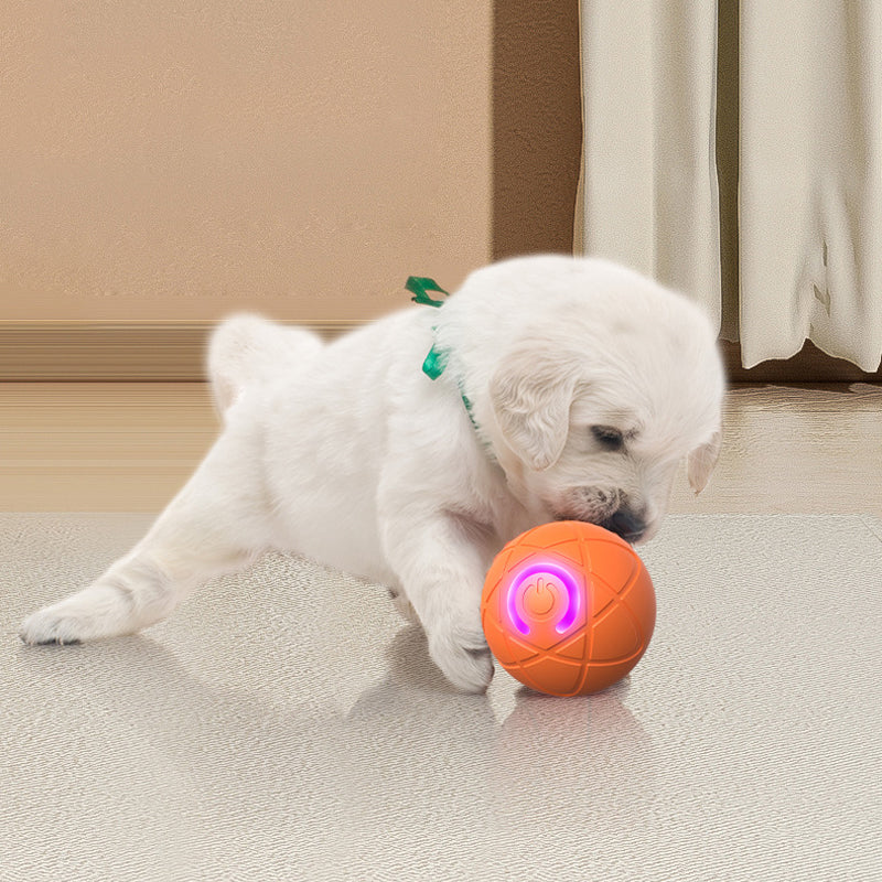 PlayPulse – Auto-Bouncing Smart Pet Ball