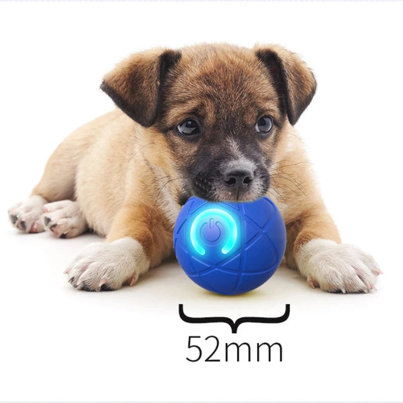 PlayPulse – Auto-Bouncing Smart Pet Ball