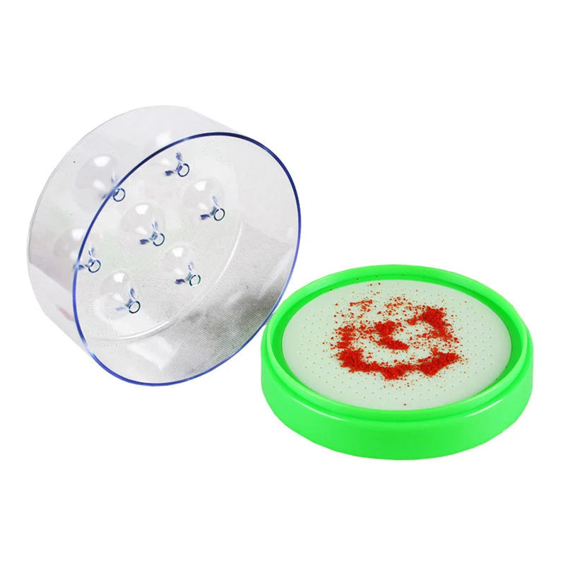 FlyGuard – 7-Hole Reusable Fly Trap