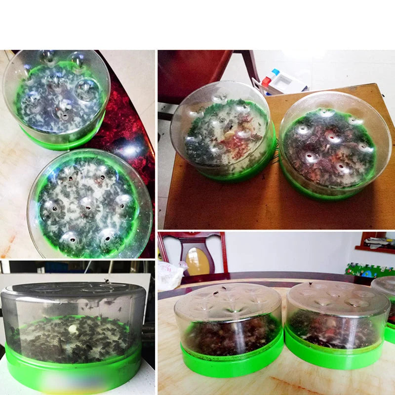 FlyGuard – 7-Hole Reusable Fly Trap