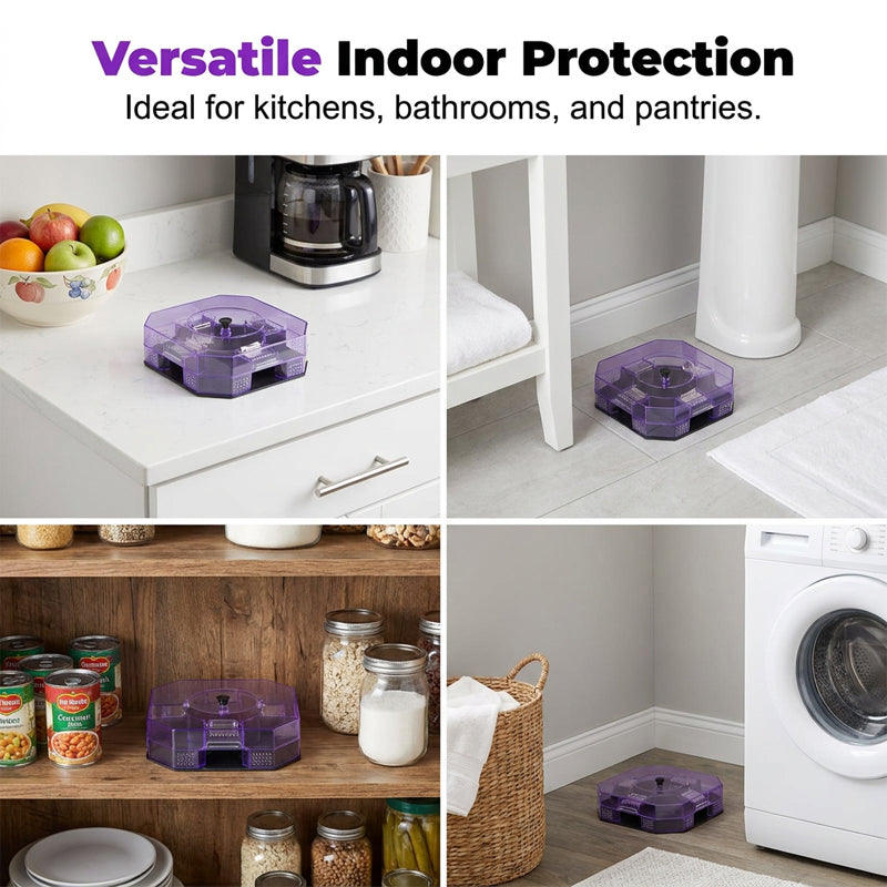 TrapEase – Automatic Reusable Roach Catcher