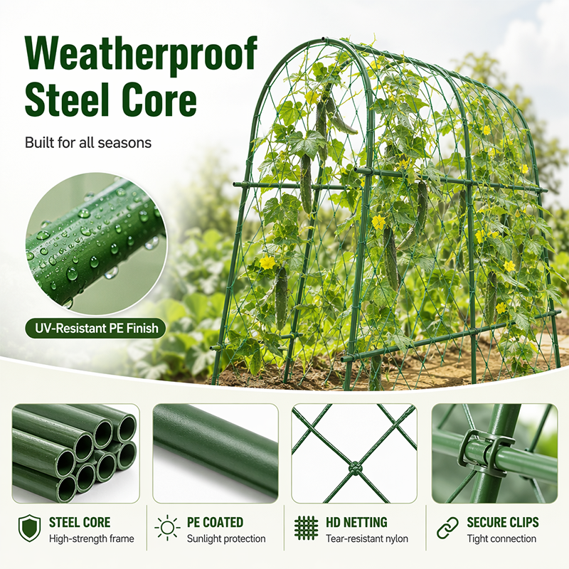 VineMaster – Modular Climbing Plant Trellis