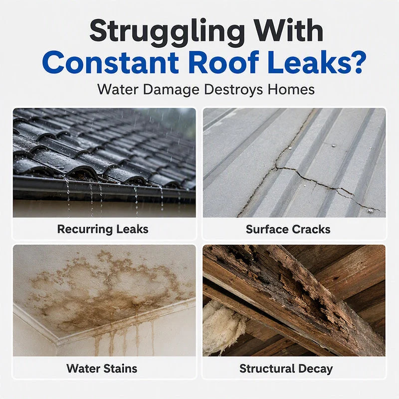 AquaSeal – Transparent Roof Waterproof Repair Sealant