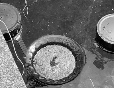 ClearWave – Smart Automatic Pool Surface Cleaner