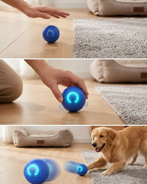 OrbitPaw – Interactive Rolling & Bouncing Dog Toy