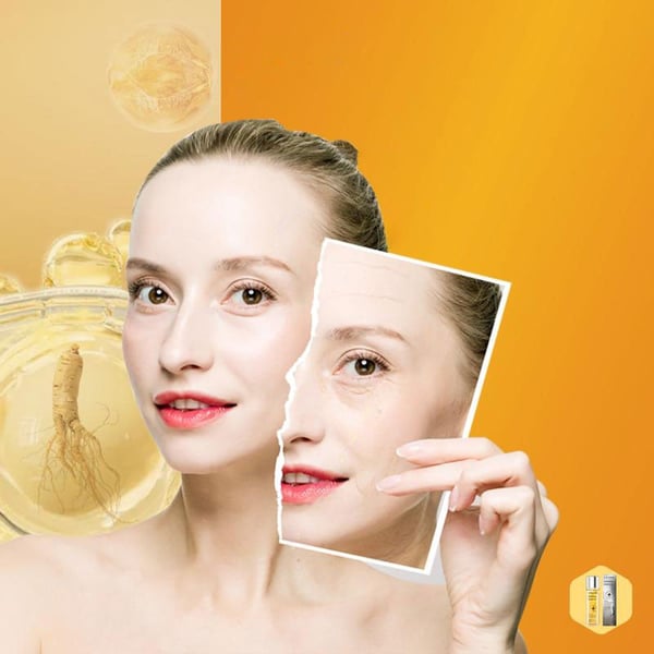Wild Ginseng Anti-Aging Essence