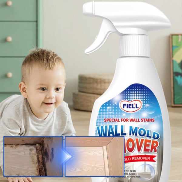 Fast Acting Anti-Mold Wall Cleaner Spray